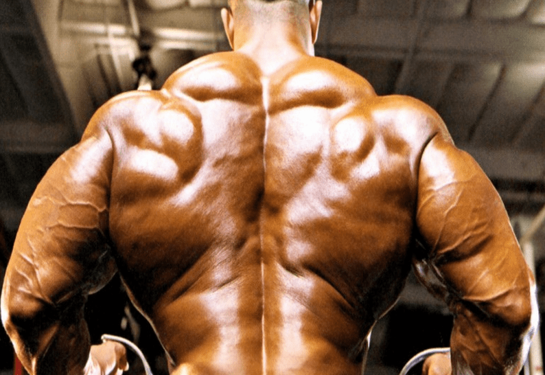 пкт: восстановление яичек, защиты печени, снижение холестерина и кортизола — иллюстрация 2