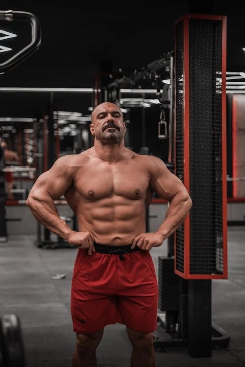 сустанон результат